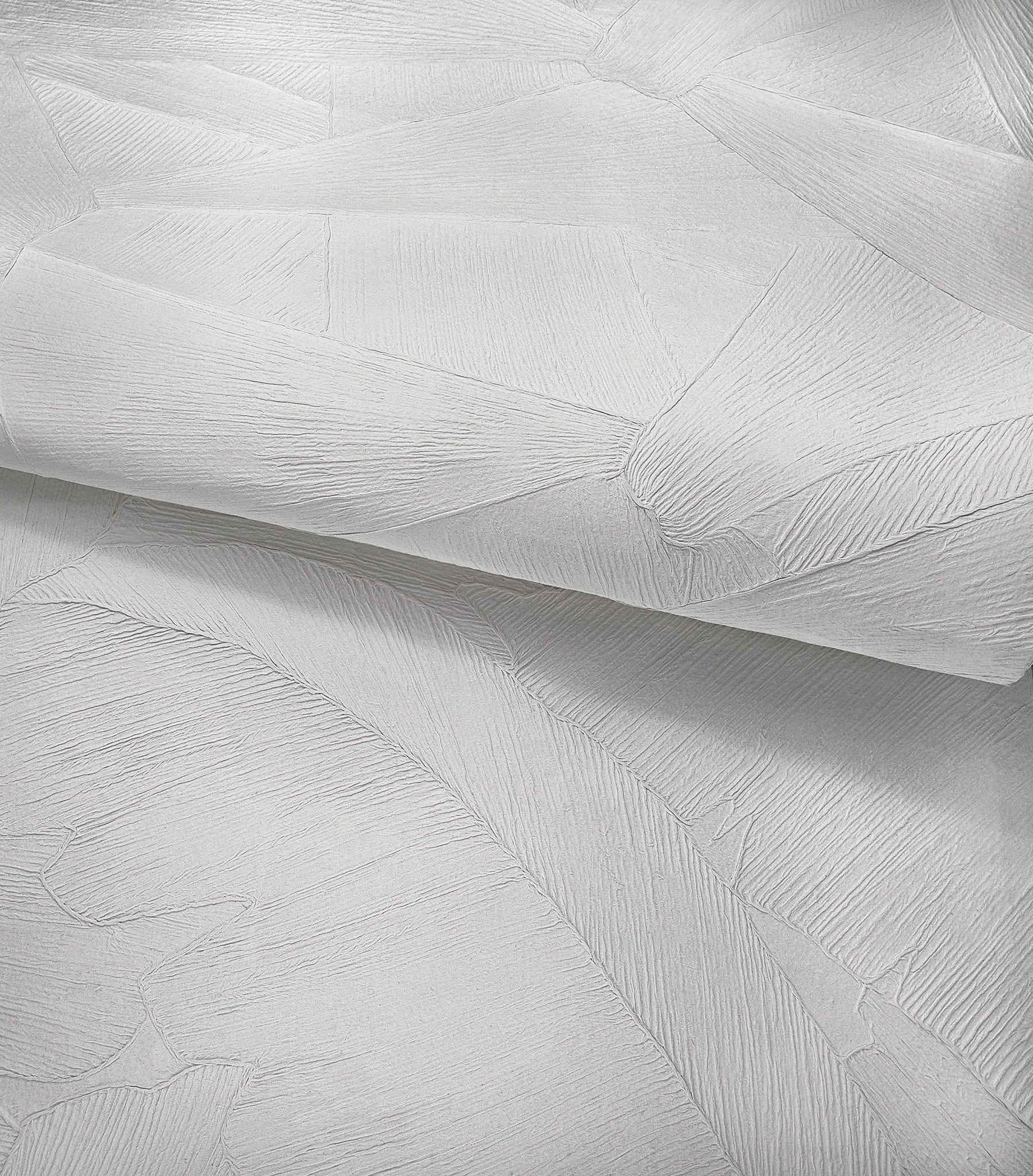 42900_42901_Washi_full frame_