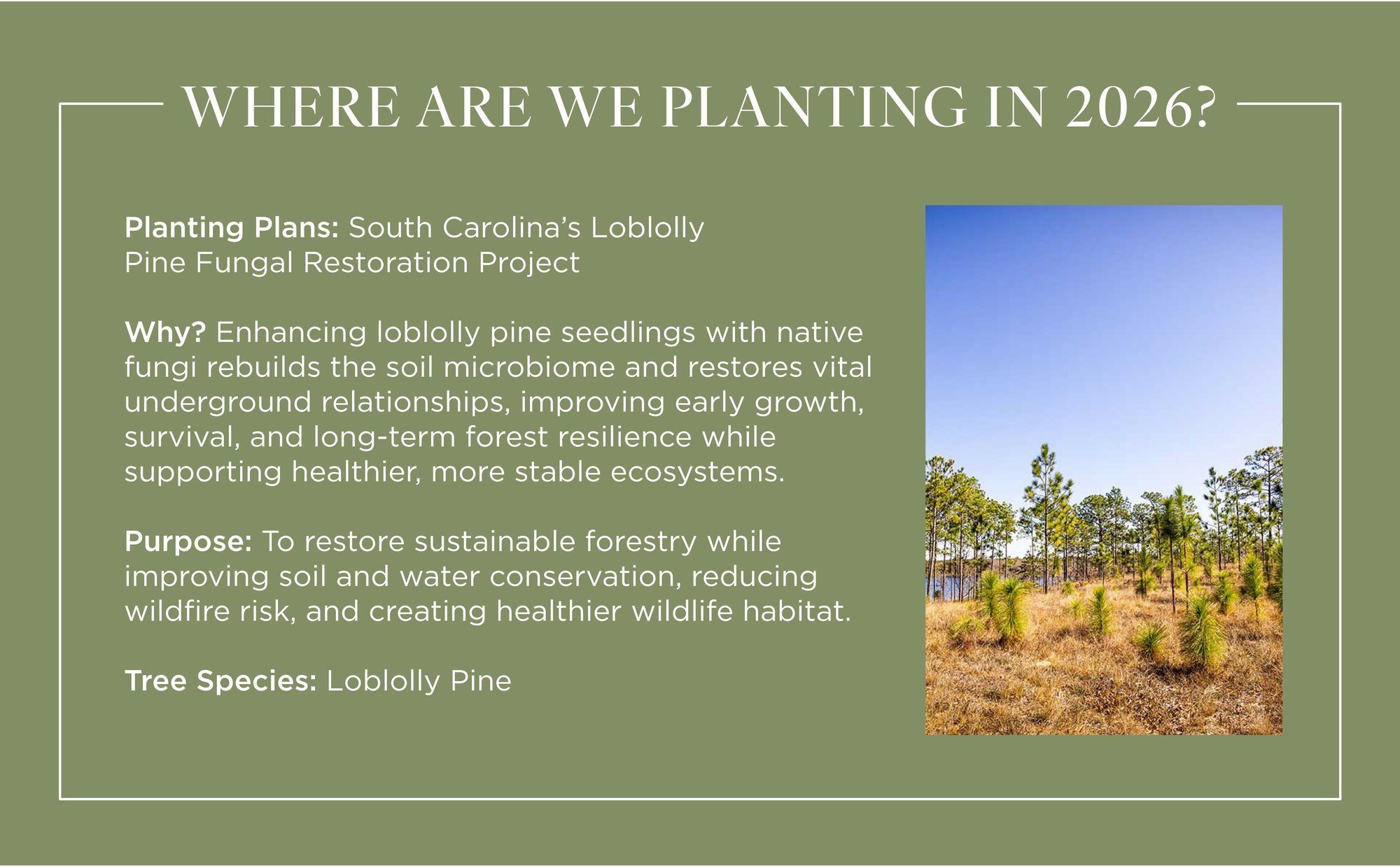 GWP_WhereAreWePlanting_V2