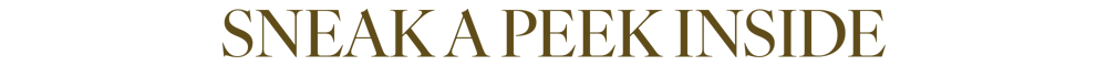 Sneak A Peek Inside_Title