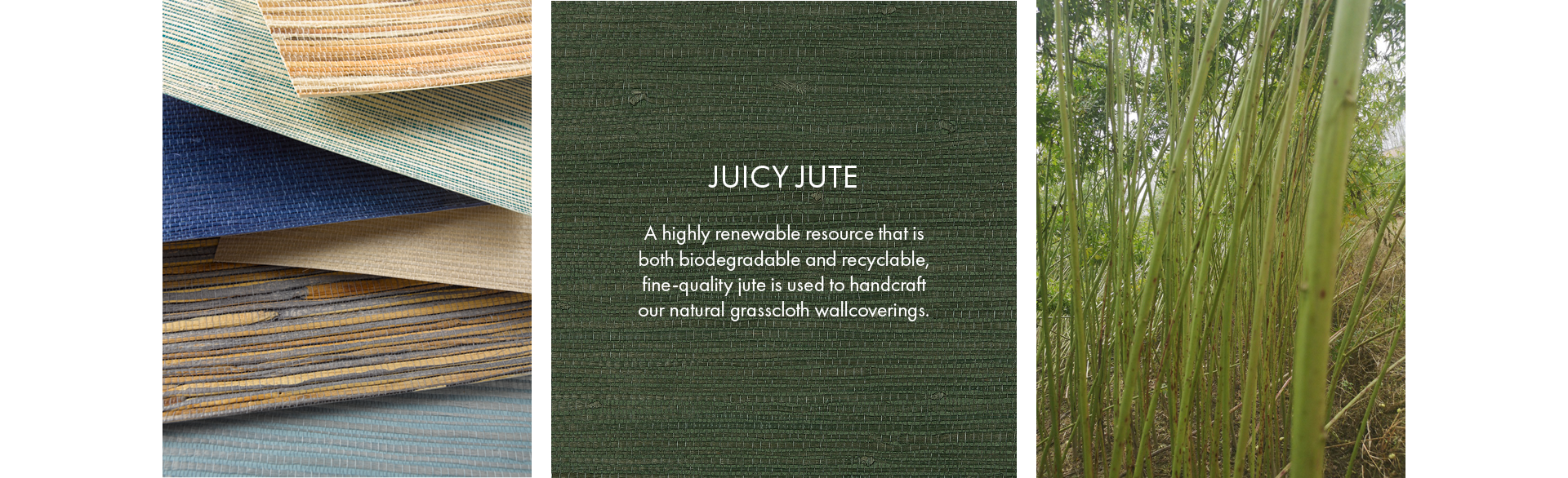 Juicy Jute